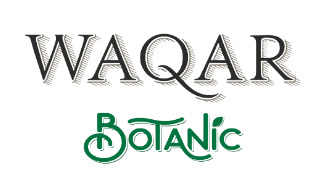 whatsapp image 2025 12 22 at 11.42.10 am